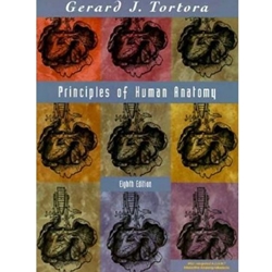Principles of Human Anatomy
