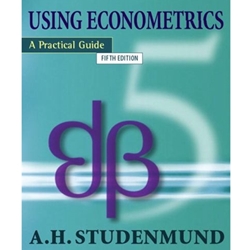 Using Econometrics