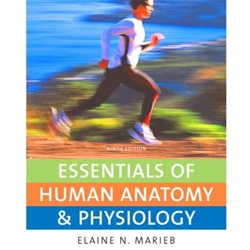 Essentials of Human Anatomy and Physiology