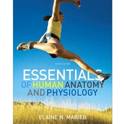 Essentials of Human Anatomy and Physiology
