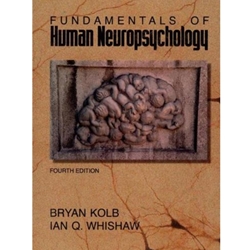 University Of Guelph Bookstore - Fundamentals Of Human Neuropsychology