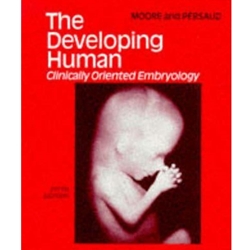 The Developing Human