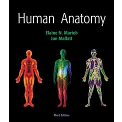 Human Anatomy