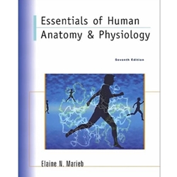 Essentials of Human Anatomy and Physiology