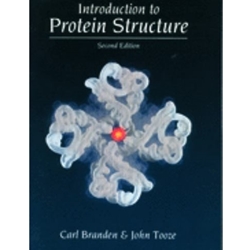 Introduction to Protein Structure