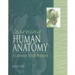 Learning Human Anatomy
