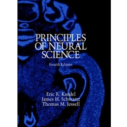 PRINCIPLES OF NEURAL SCIENCE 第3版 PRINCIPLES OF NEURAL SCIENCE 第3版 Principles of Neural