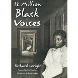 12 Million Black Voices