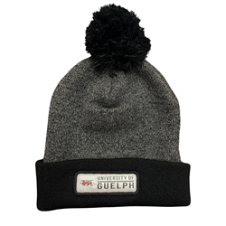 Black/Grey UofG Gryphons Pom Beanie