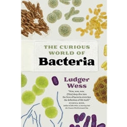 Bacteria