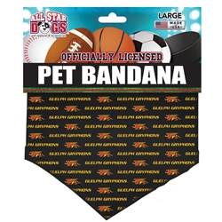 Repeating Pet Bandana