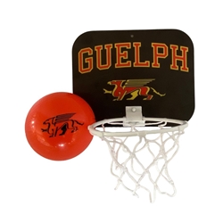 Gryphon Mini Basketball Set With Balll