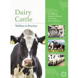 Dairy Cattle Welfare in Practice