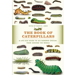 The Book of Caterpillars