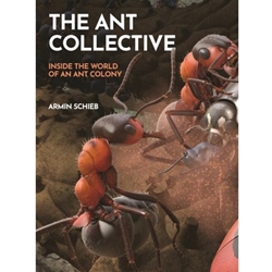 The Ant Collective