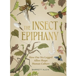 The Insect Epiphany