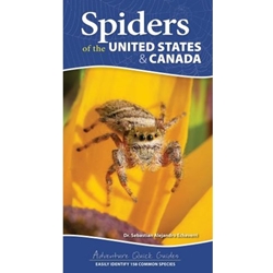 Spiders of the United States