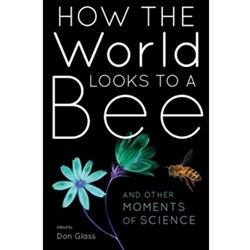 How the World Looks to a Bee