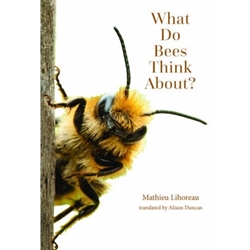 What Do Bees Think About?