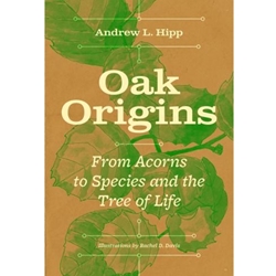 Oak Origins