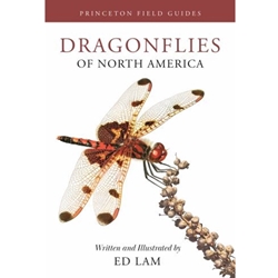 Dragonflies of North America