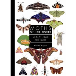 Moths of the World