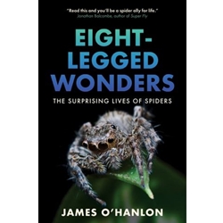 Eight-Legged Wonders