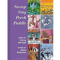 Swoop Sing Perch Paddle