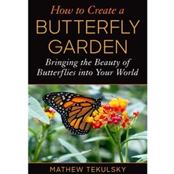 How to Create a Butterfly Garden