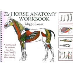 The Horse Anatomy Workbook