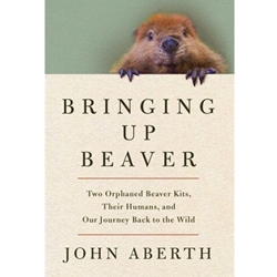 Bringing up Beaver
