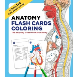 Anatomy Flash Cards Coloring