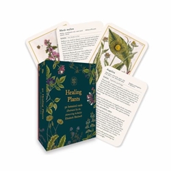 Healing Plants - a Botanical Card Deck