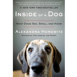 Inside of a Dog
