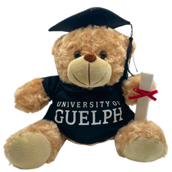 Graduation Bear
