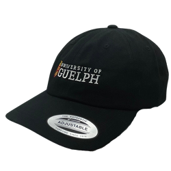 Black Identifier Horizontal Dad Hat