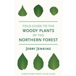 Field Guide to the Woody Plants of the Northern Forest