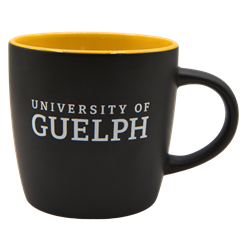 12oz Cafe Mug - Gold