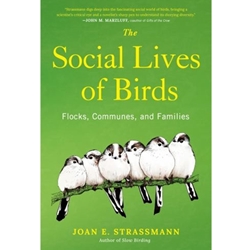 The Social Lives of Birds
