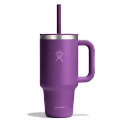 Hydro Flask 32 oz All Around Travel Tumbler with Straw Lid - Beachplum