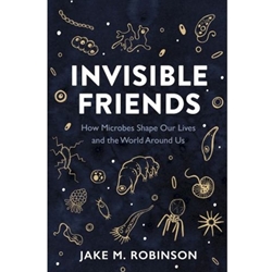Invisible Friends