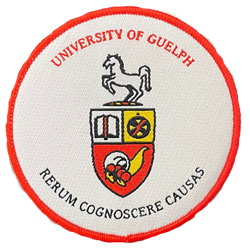 3" Horsecrest Iron On Patch