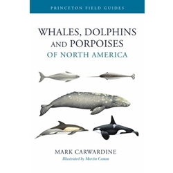 Whales, Dolphins, and Porpoises of North America
