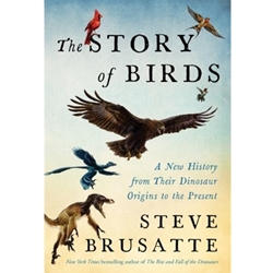 The Story of Birds
