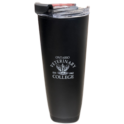 20oz OVC Bottle with Staw Lid - Black